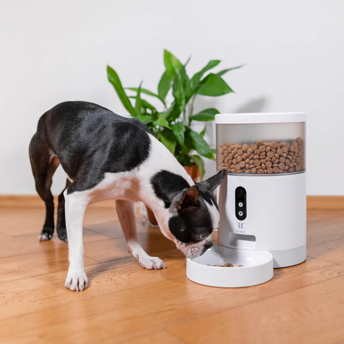 SmartPet