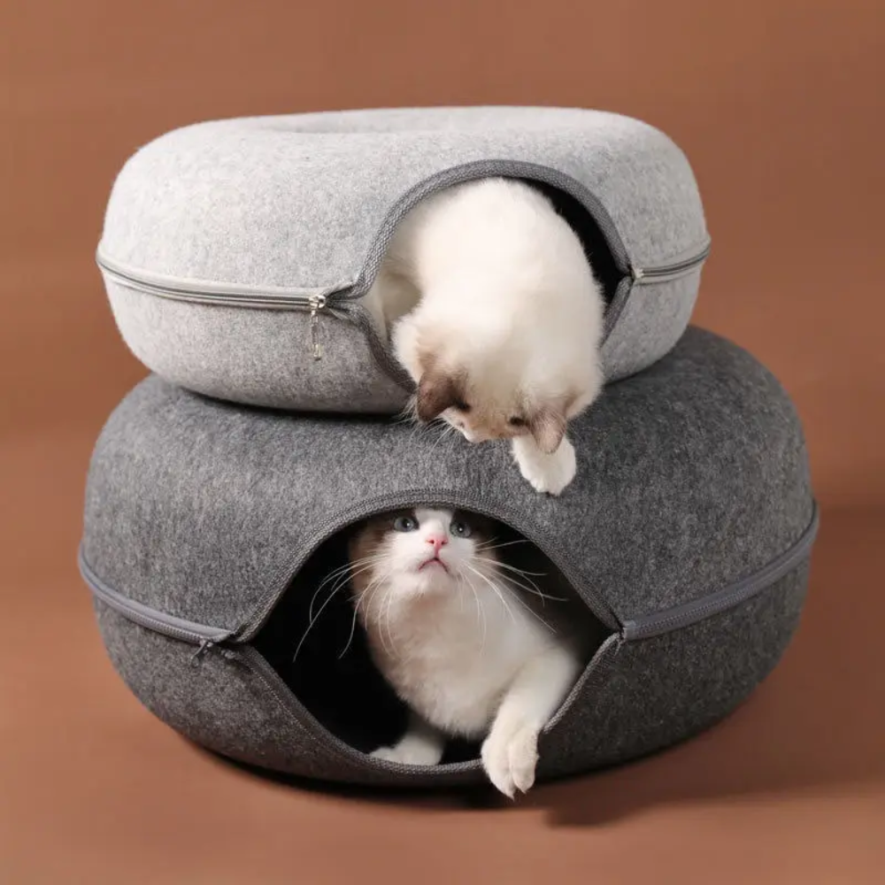 Nido para Gatos | Su refugio cómodo y divertido en 1 solo lugar