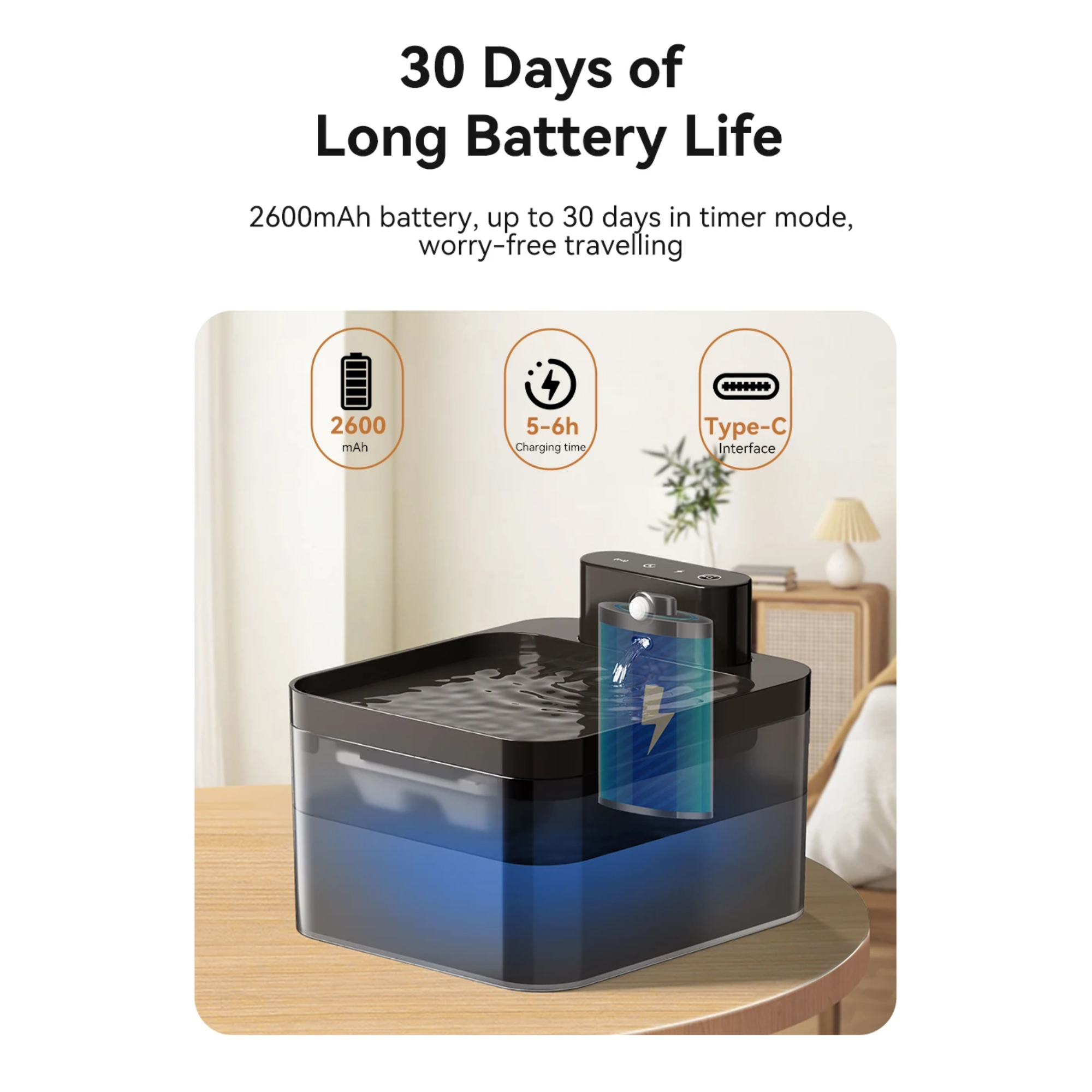 AquaFount | Effortlessly hydrate your pet