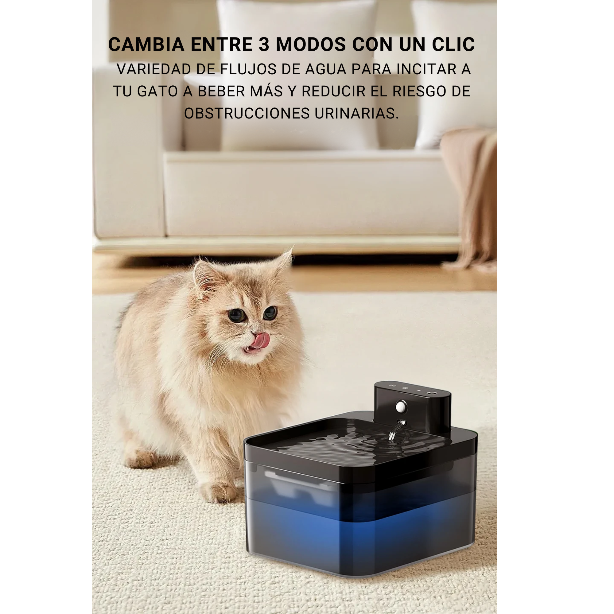 AquaFount | Hidrata a tu mascota sin esfuerzo