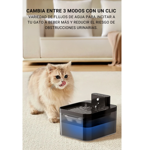 AquaFount | Hidrata a tu mascota sin esfuerzo