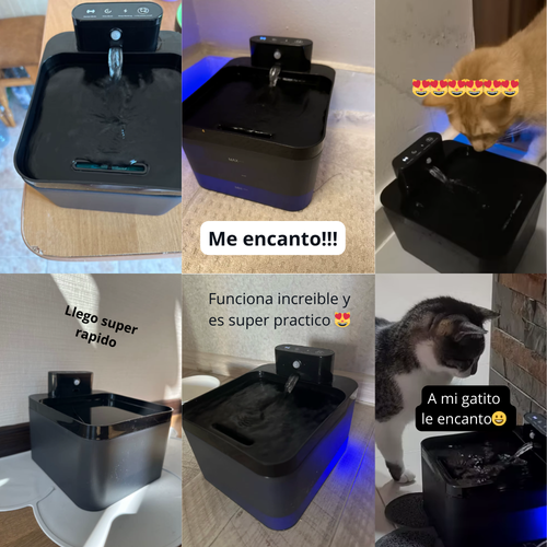 AquaFount | Hidrata a tu mascota sin esfuerzo